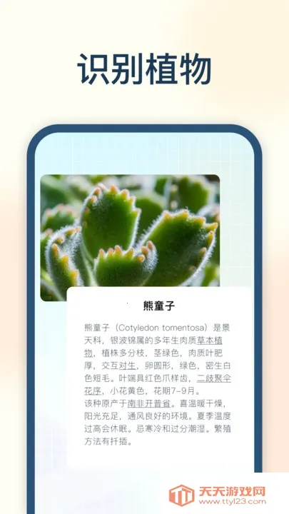�Ծ���2026���°汾v2.0.0.0 �ٷ������ͼ4