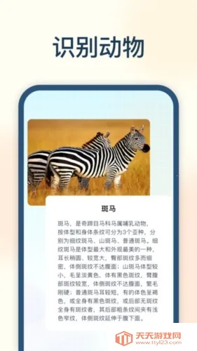 �Ծ���2026���°汾