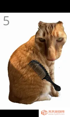 ��è��ë(èë����С��Ϸ)v1.0 �ֻ����ͼ1
