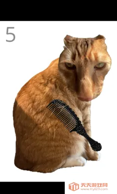 ��è��ë(èë����С��Ϸ)v1.0 �ֻ����ͼ0