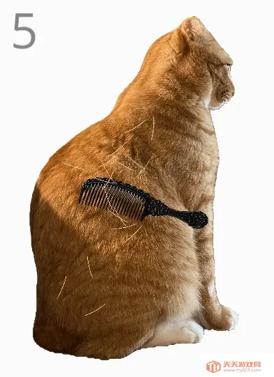 ��è��ë(èë����С��Ϸ)