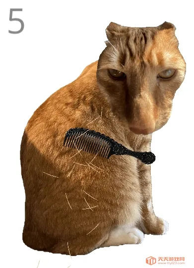 ��è��ë(èë����С��Ϸ)