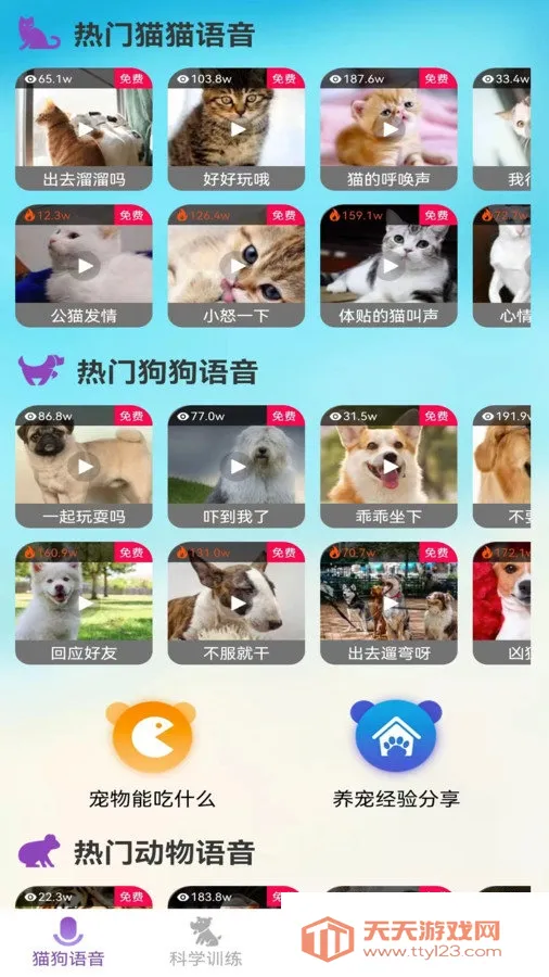 ��è��������׿�ֻ����ͼ0