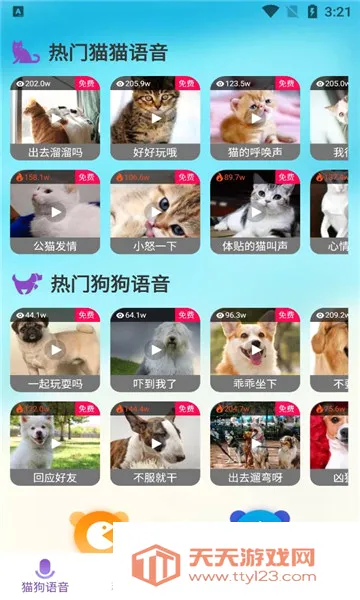 ��è��������׿�ֻ���