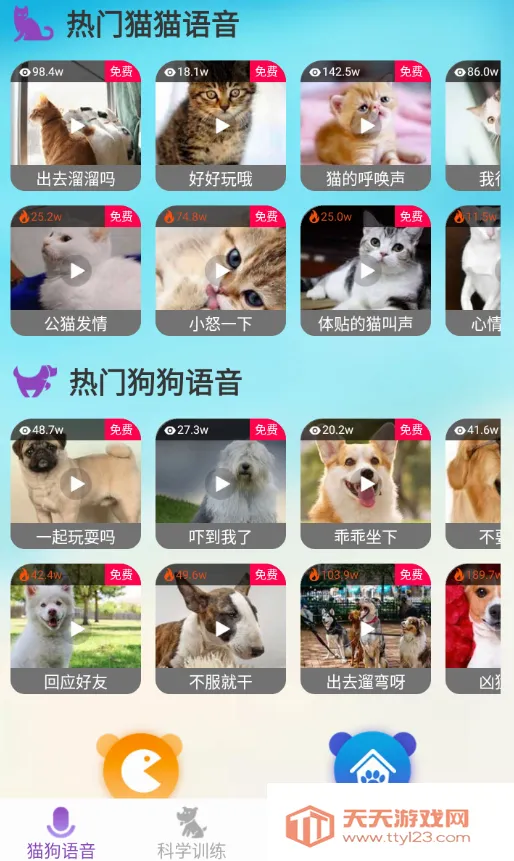 ��è��������׿�ֻ���