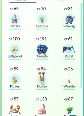 pokemon2026���°汾