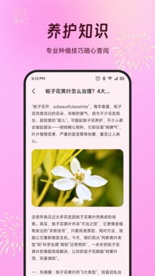 ���׻���(��������ƽ̨)��ͼ1
