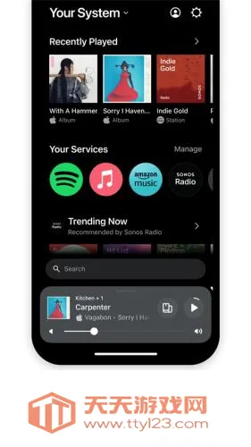 Sonos(�����������)