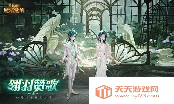 哈利波特魔法觉醒b服安卓手机版截图0
