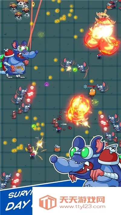 美食之地2026最新版本v1.1.8 安卓版截图3