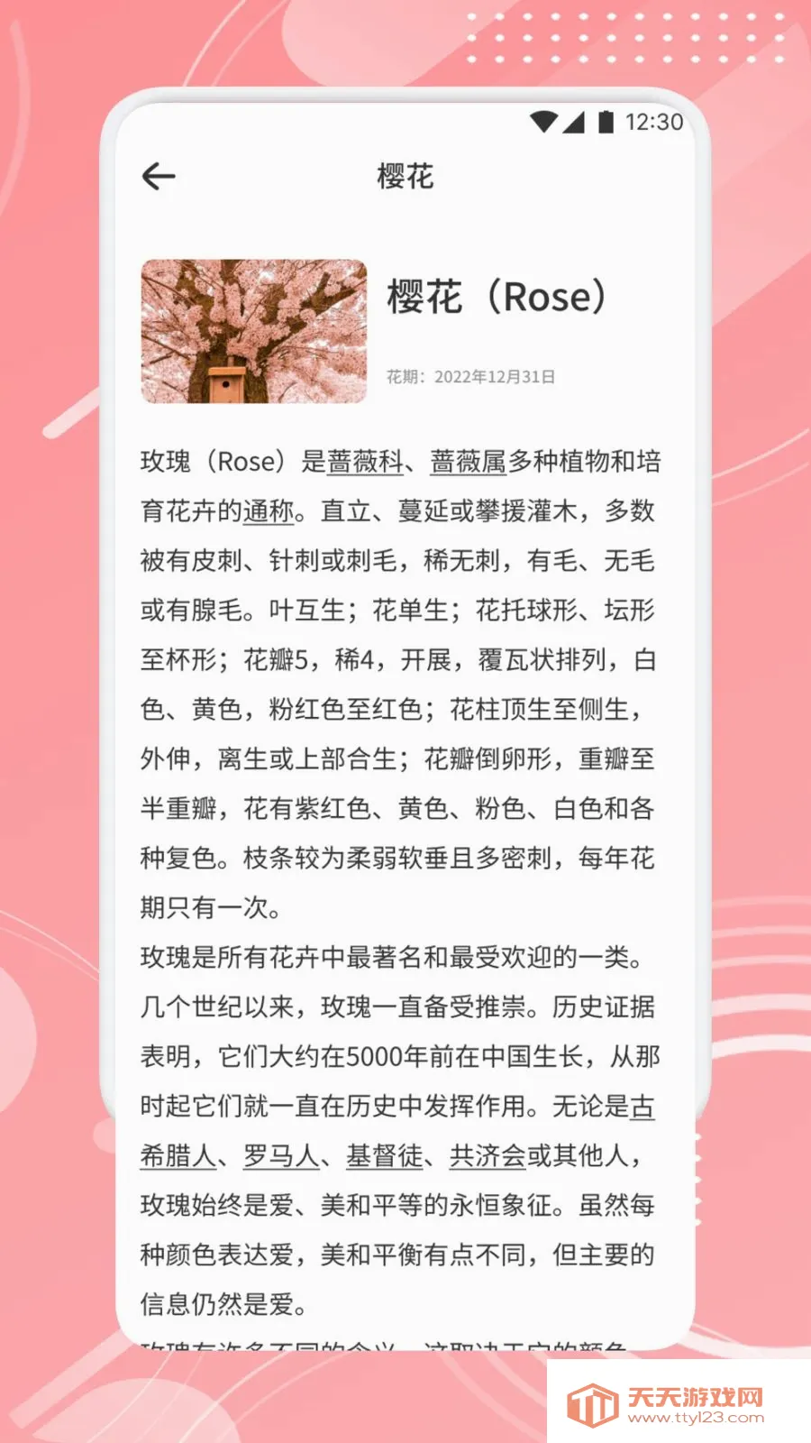 TheOne陪伴助手2026官方最新版本v1.1 官方正版截图3