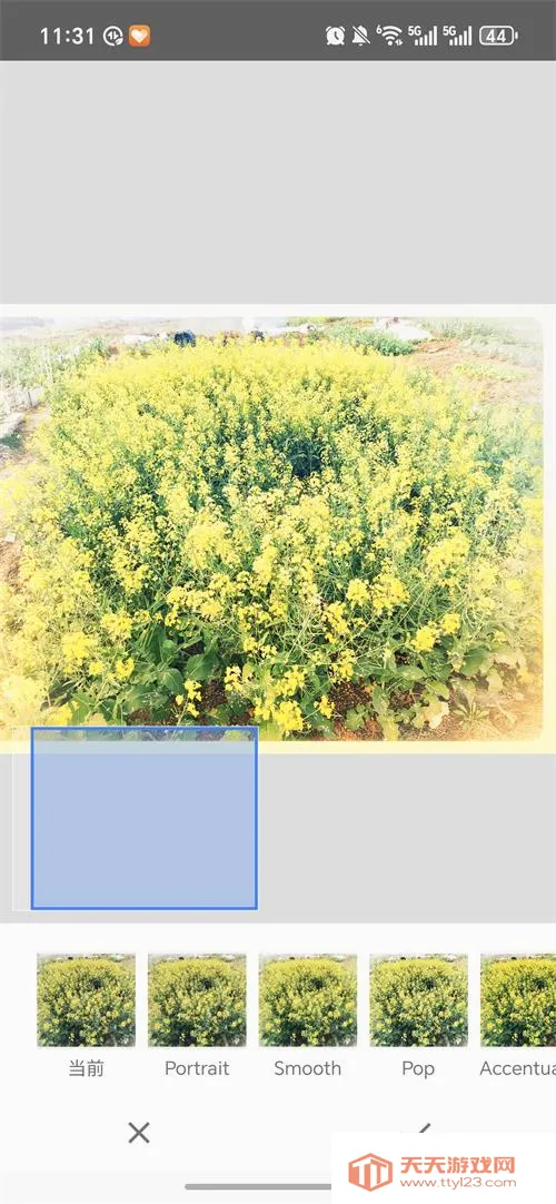 BetterSeed�����ֻ���v2.22.0.633363672 ��׿���ͼ0