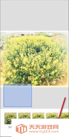 BetterSeed�����ֻ���