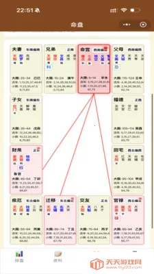紫薇星鉴(紫微斗数排盘)v1.29.1 官方正版截图0