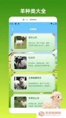 ����С��2026�ٷ����°汾v1.3 �ٷ������ͼ1