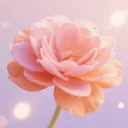 үү�İٲ��û���(�ʻ�����Ӧ��) v1.5 �ֻ���