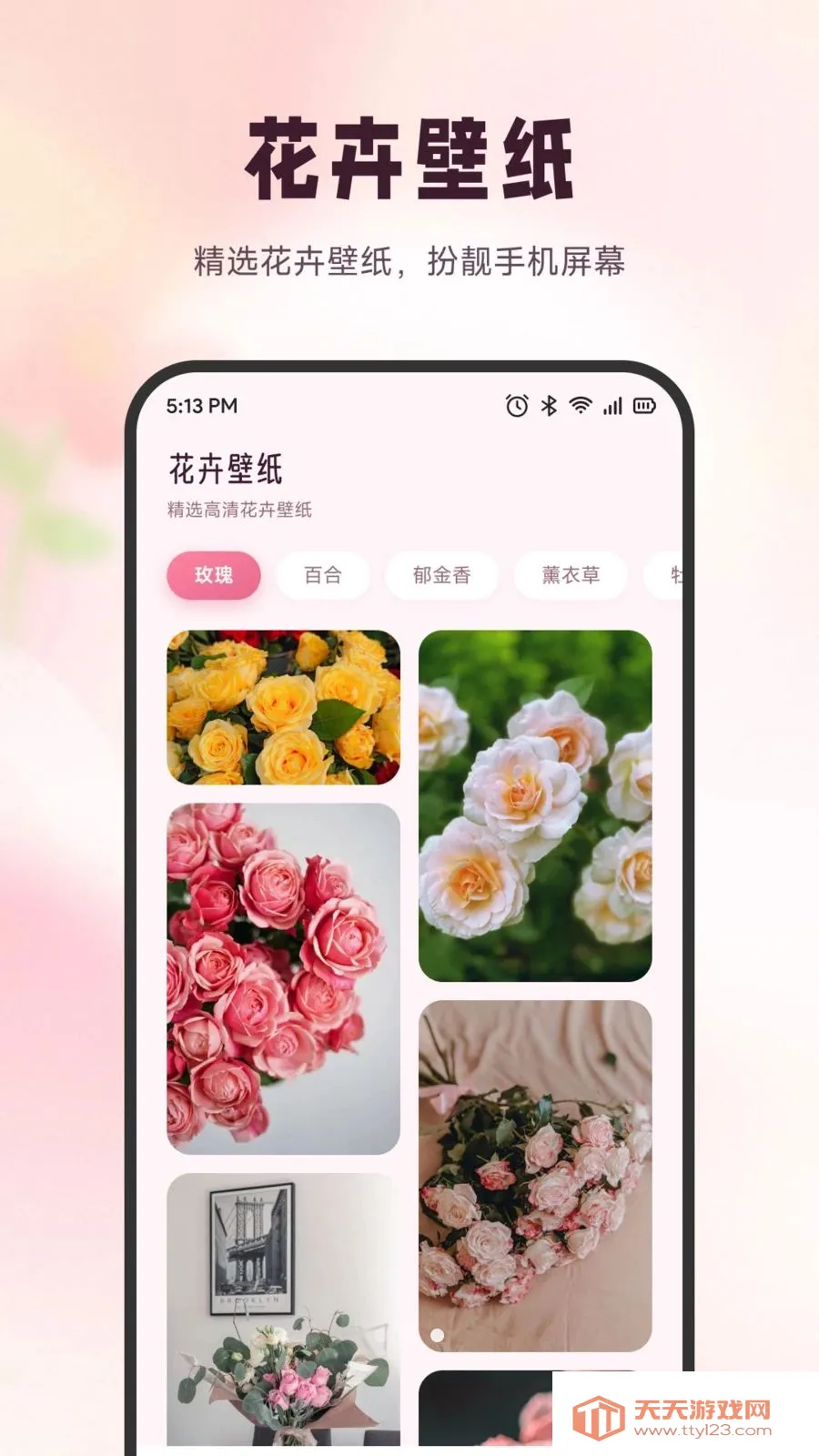 雪融花鉴2026最新版本截图1