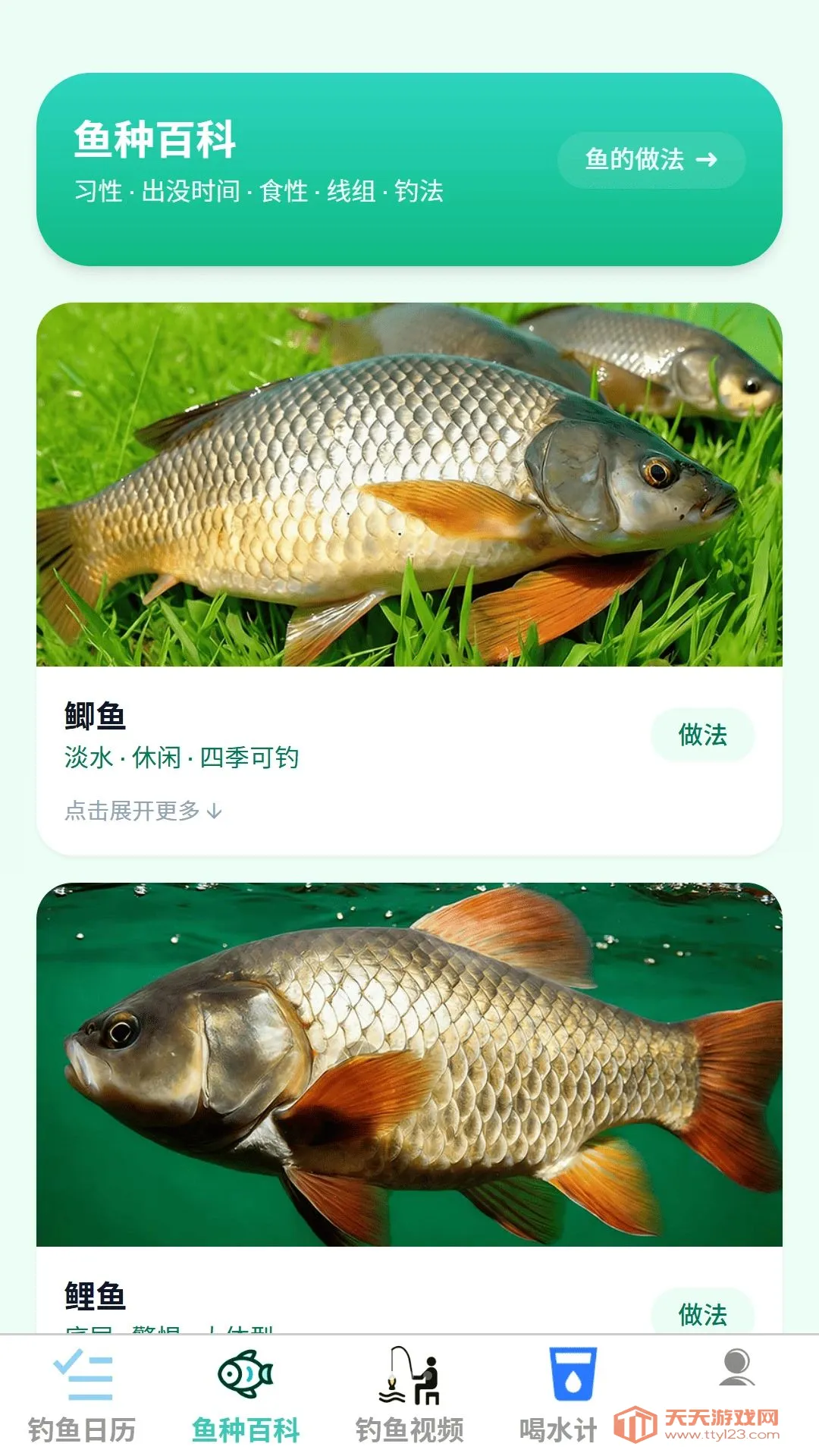 泉净清钓2026最新版本截图1