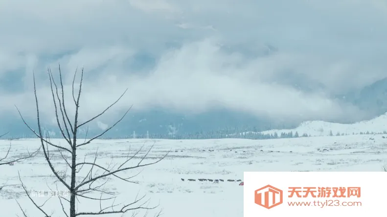 锋云秒播香吻版(电视直播软件)截图2