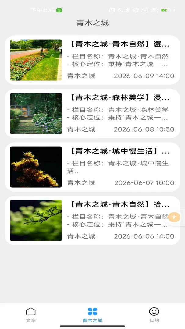 ��ľ֮��2026���°汾v2.0 ��Ѱ��ͼ0