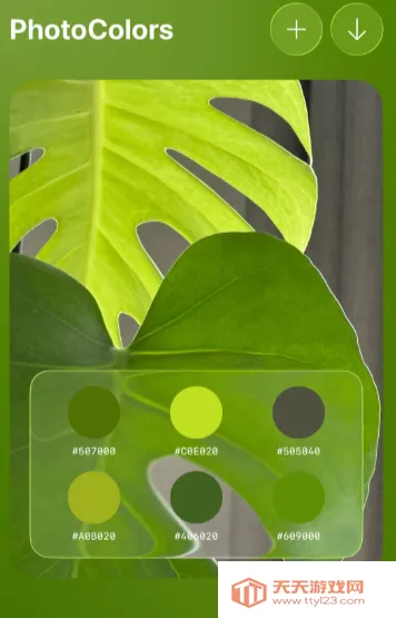 PhotoColors2026���°汾