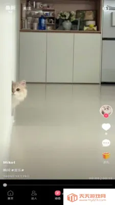 ��Ȧ(Ů���罻����)