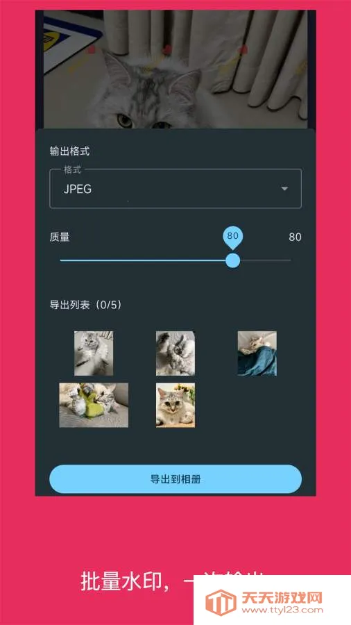 简单水印照片(照片水印添加工具)v6.0705.7 官方版截图3