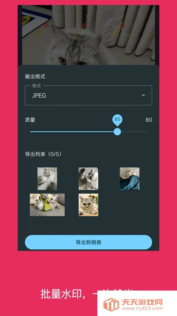 简单水印照片(照片水印添加工具) 简单水印照片(照片水印添加工具)
