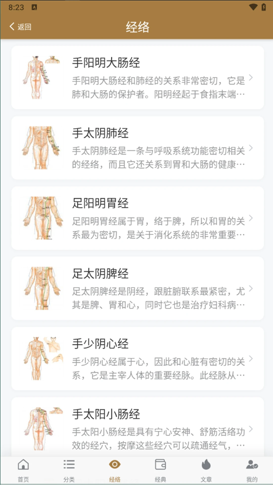 Ѩλͼ�״�ȫ(����Ѩλ��ѯ)