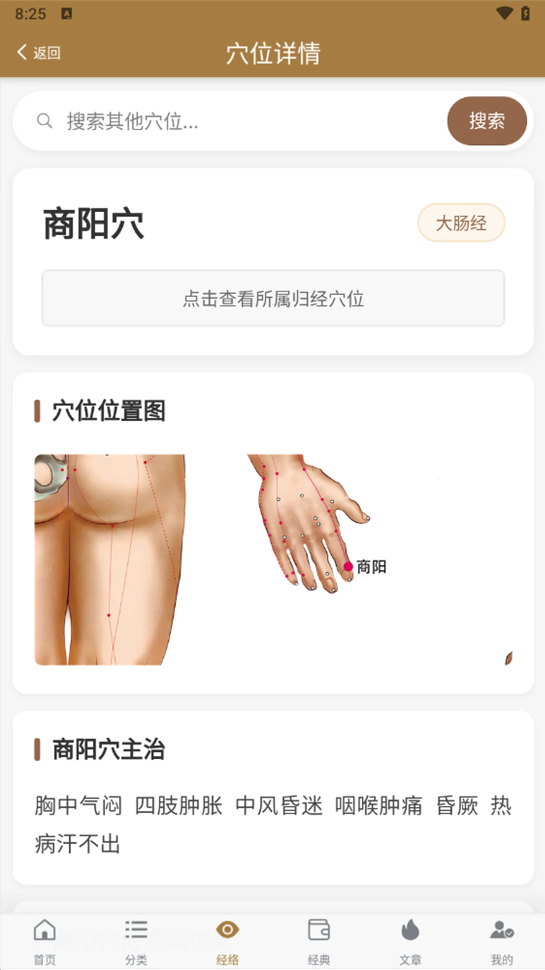 Ѩλͼ�״�ȫ(����Ѩλ��ѯ)