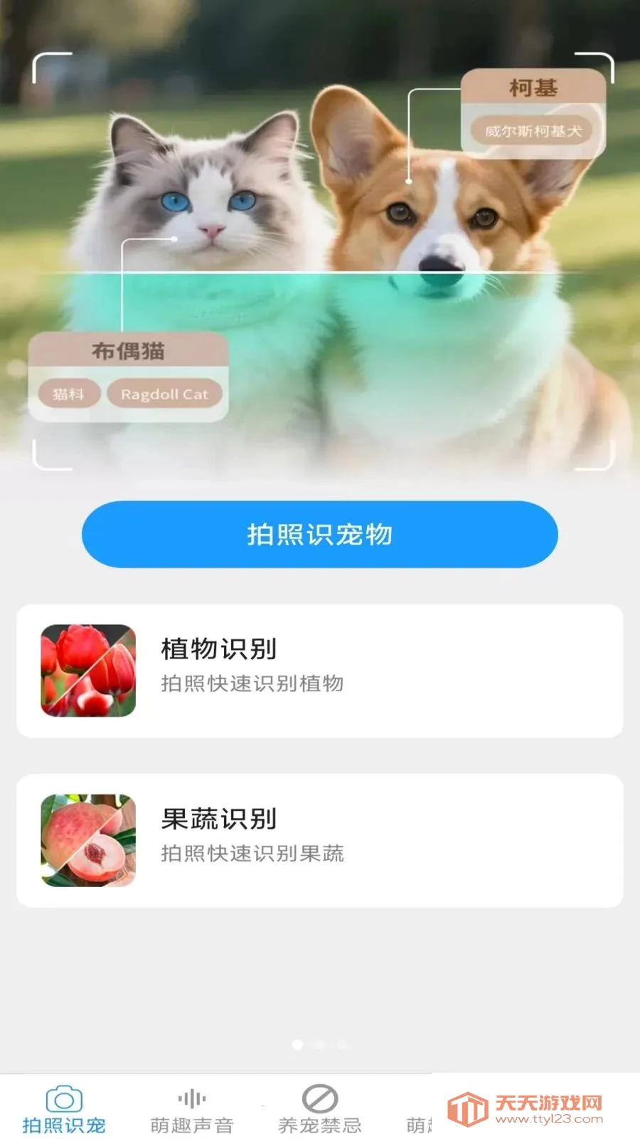 元气养宠(宠物养护应用)v2.7.2.2 官方版截图2