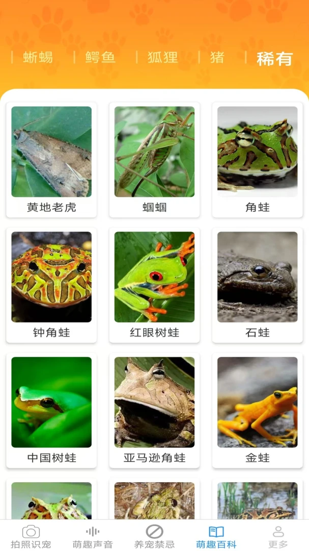 元气养宠(宠物养护应用)v2.7.2.2 官方版截图3